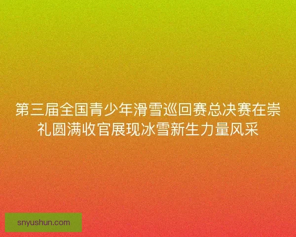 第三届全国青少年滑雪巡回赛总决赛在崇礼圆满收官展现冰雪新生力量风采