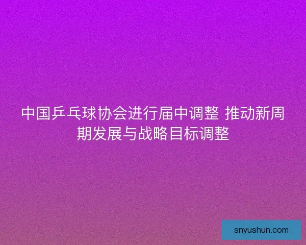 中国乒乓球协会进行届中调整 推动新周期发展与战略目标调整