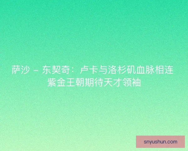 萨沙 - 东契奇：卢卡与洛杉矶血脉相连 紫金王朝期待天才领袖