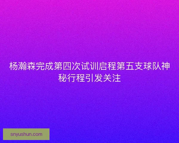 杨瀚森完成第四次试训启程第五支球队神秘行程引发关注